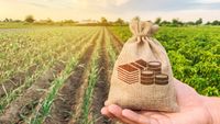 AFIR lansează ghidul pentru investițiile în energie verde din ferme și industria alimentară / Fermierii care investesc în energie regenerabilă pentru autoconsum primesc un nou ghid oficial de achiziții