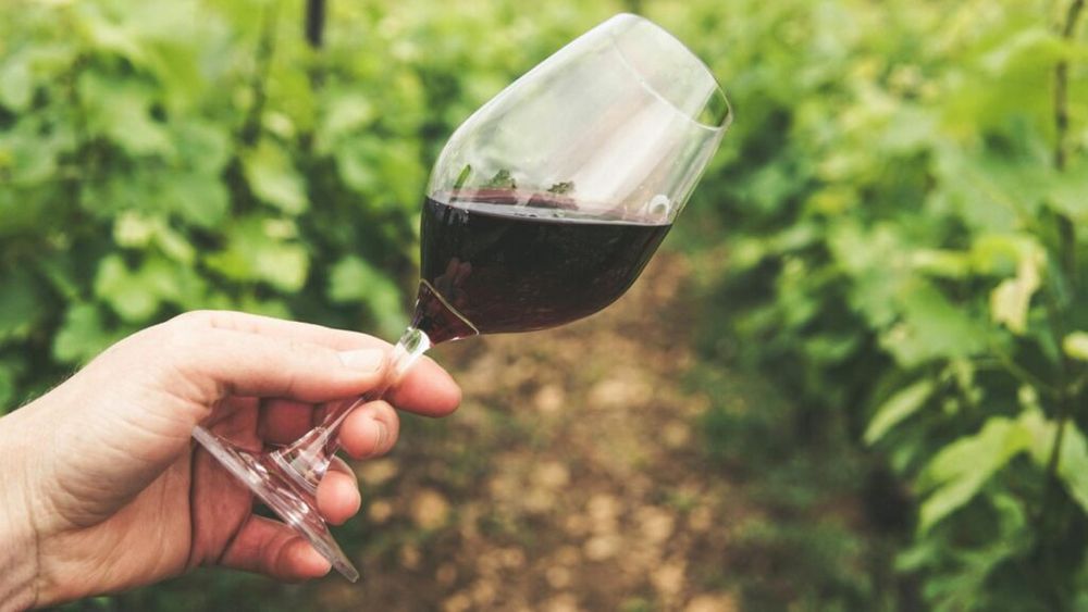 Turismul oenologic face paşi mărunţi în Vrancea, judeţul cu cea mai mare suprafaţă viticolă din ţară