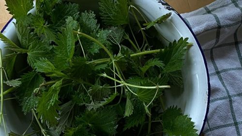 ABC în bucătărie | Trucuri pentru a pregăti perfect urzicile/ Plus rețeta de mâncare de urzici, cum o făcea bunica