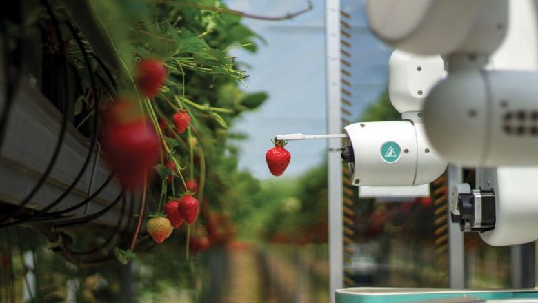 Universitatea pentru Ştiinţele Vieţii „Ion Ionescu de la Brad” dezbate la Iași viitorul agriculturii inteligente