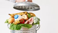România aruncă anual peste 3 milioane de tone de alimente / FBAR cere soluții pentru recuperarea surplusului alimentar