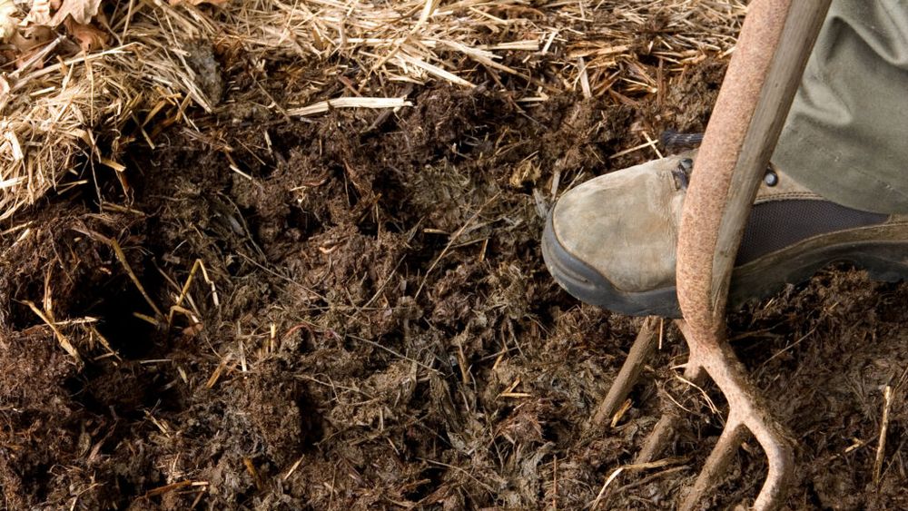 Criza îngrășămintelor se adâncește în Europa / Noua strategie a Comisiei Europene propune mai mult bălegar în agricultură, idee care stârnește critici dure