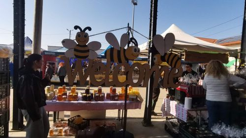 VIDEO FOTO | Miere, propolis și dulciuri cu fagure: 70 de expozanți vin la Târgul Apicol de la Ghiroda