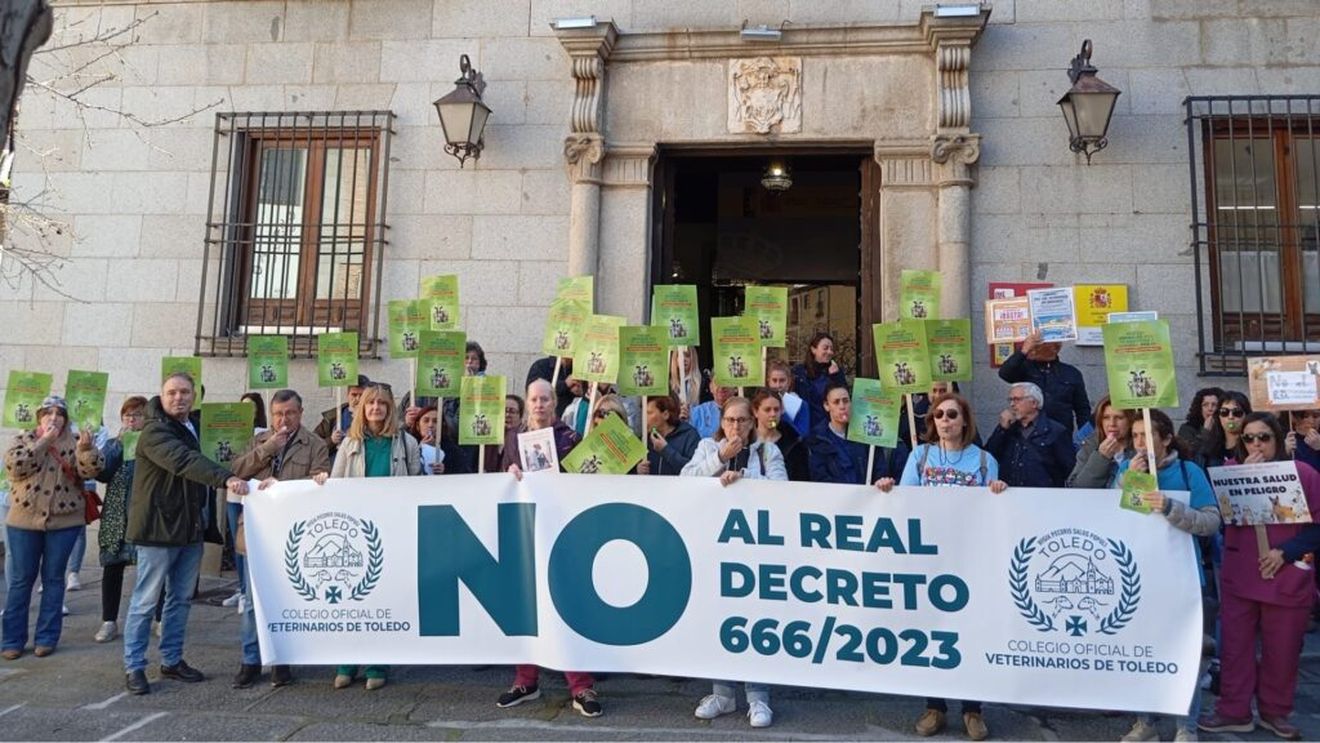 „Taxe mari, birocrație și reguli absurde” | Proteste masive ale veterinarilor din Spania împotriva noilor reglementări