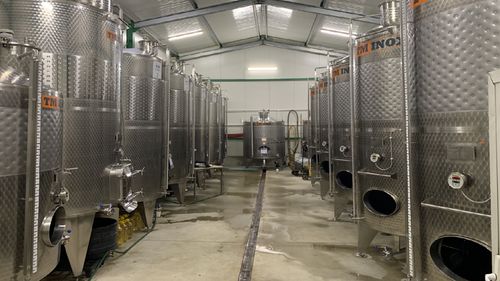 Cramele românești se digitalizează! Casa de vinuri ZAIG din Teaca, județul Bistrița Năsăud, a expediat primele sticle, prin curierat, la București, în urma unei comenzi primite on line