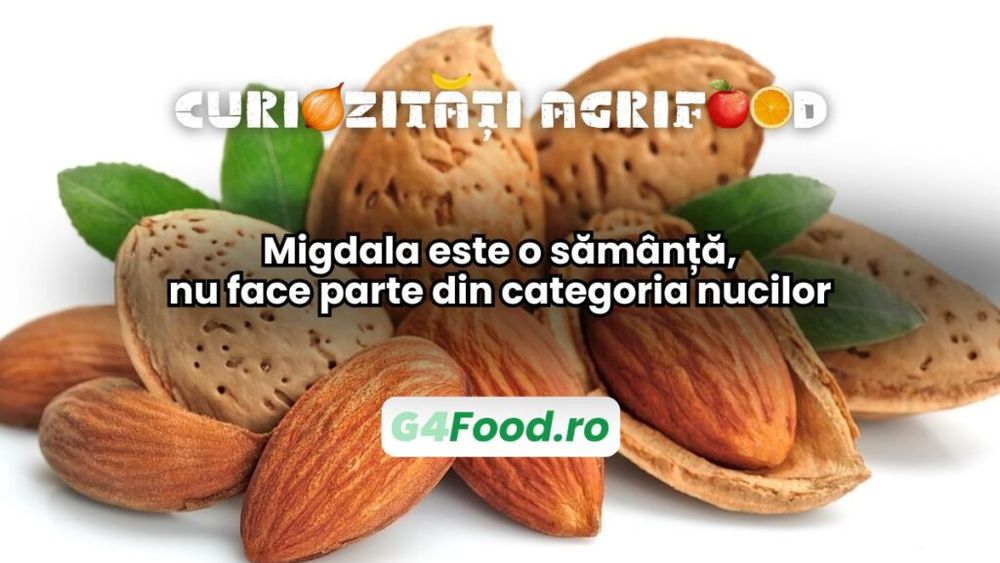 Curiozități agri-food 27 decembrie: Migdala este o sămânță, nu face parte din categoria nucilor