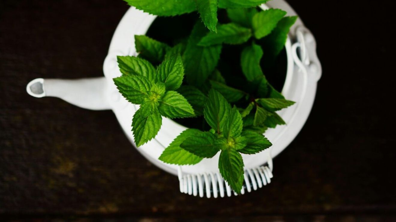 Funcționează într-adevar ceaiurile în lupta cu constipația? Cele mai eficiente nouă plante pe care le poți utiliza