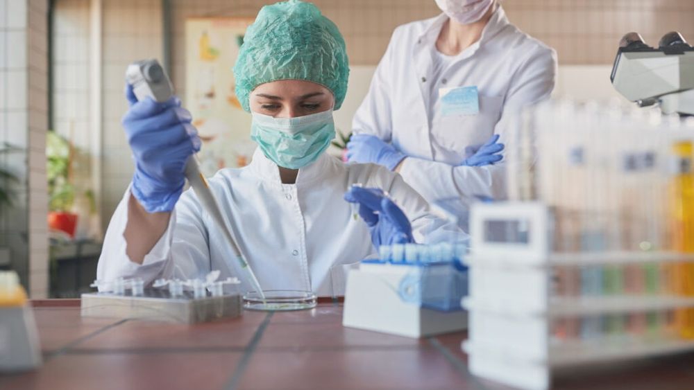 România poate exporta produse alimentare vegetale proaspete în Indonezia / Un laborator de testare a siguranței alimentelor al ANSVSA a fost recunoscut oficial de Autoritatea de Carantină din această țară