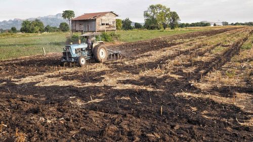 Sistemul de gestionare a riscurilor agricole din România este depăşit şi necesită o restructurare urgentă (organizaţie agricolă)