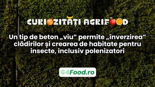 Curiozități agrifood - 23 mai | Un tip de beton „viu” permite „înverzirea” clădirilor și crearea de habitate pentru insecte, inclusiv polenizatori | VIDEO