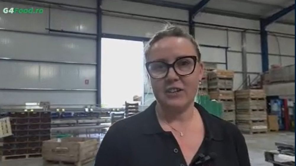 Cireșe și piersici, ambalate și sortate cu sisteme automatizate/ Anamaria Tifu, fermier român în Spania: „Paradoxal, la cireșe e mai simplu decât la piersici. Mașina face singură cam tot”