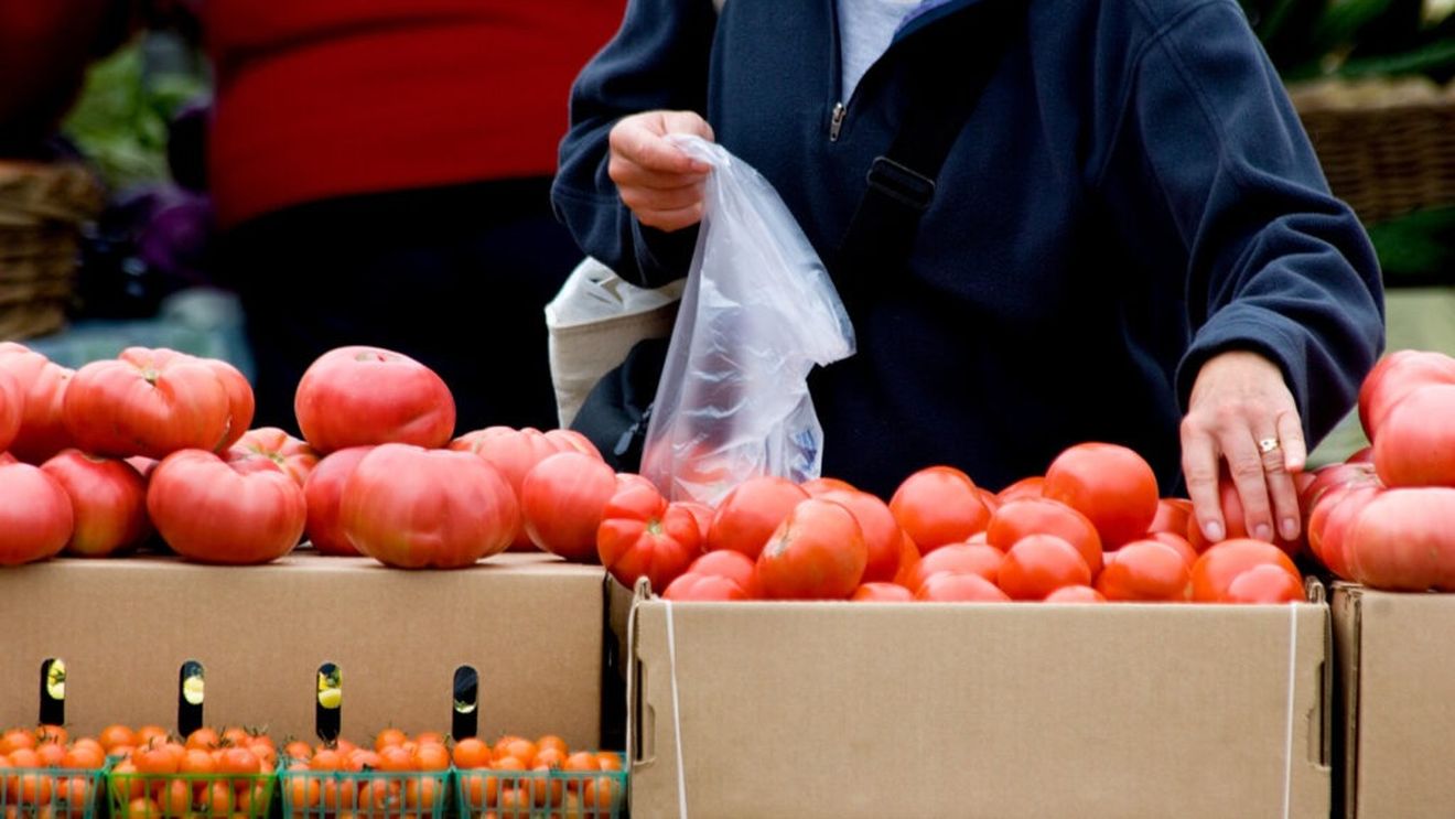 Ministrul Agriculturii promite că ministerul va finanţa de anul viitor fiecare mie de metri pătraţi cu legume cu obligativitatea ca 50% să fie tomate