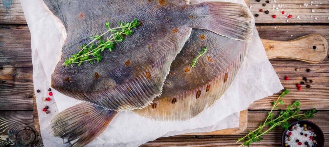 Un pește uitat ar putea deveni următorul fenomen culinar / „Flat is Back”, campania care vrea să-l transforme într-un nou trend / 10 chefi au primit misiunea de a reinventa flounderul