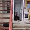 O ursoaică cu trei pui a intrat de două ori într-o casă din Bușteni / Animalele au mers direct la frigider în căutare de hrană