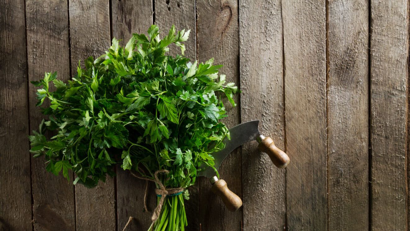 Ce este hasmațuchi și cum poate fi folosit în bucătărie / Vlad Logigan (actor): „Am venit în Obor pentru hațmațuchi. Nu are nimeni, toți se uită mirați când întreb. De parcă întreb de codul lui da Vinci”