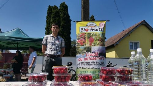 FOTO | Fermier cu valoare adăugată | Livada cu autoservire și plată la cutie, un concept copiat din Germania de o familie din localitatea timișeană Comloșu Mic: „Pot spune că, în proporție de mai bine de 90%, oamenii au fost corecți”
