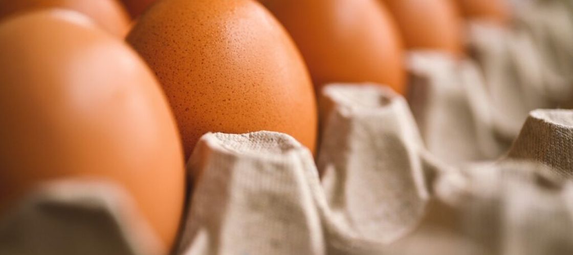 Agroland: vânzările de ouă au crescut cu 40% în T1 2026, iar prețul mediu a urcat cu 25%