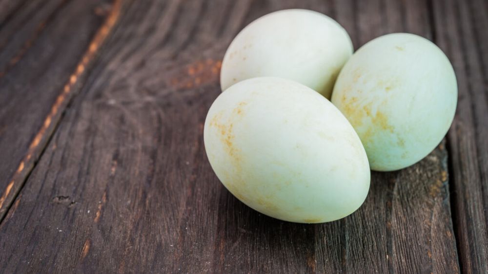 Trei cazuri de toxiinfecţie alimentară la Vaslui / Persoanele au consumat ouă de raţă