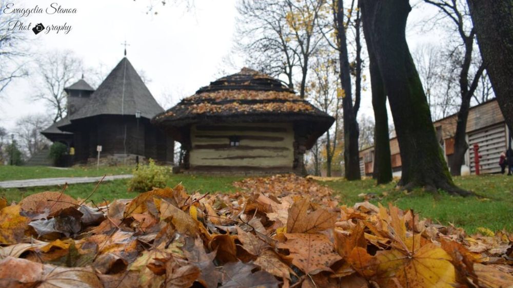 Târg de Sfântul Dumitru, la Muzeul Satului, de vineri până duminică / Fructe, mâncare tradițională, muzică și dansuri - un regal pentru bucureșteni