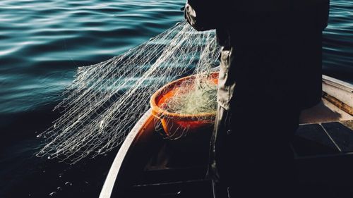 Cum este folosită inteligența artificială pentru a preveni pescuitul ilegal