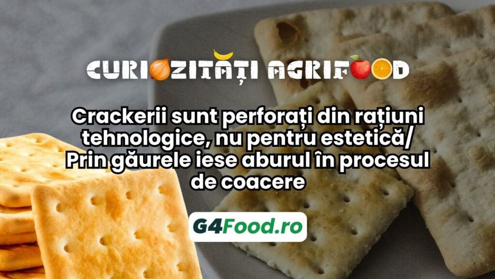 Curiozitate agrifood - 15 octombrie: Crackerii sunt perforați din rațiuni tehnologice, nu pentru estetică/ Prin găurele iese aburul în procesul de coacere