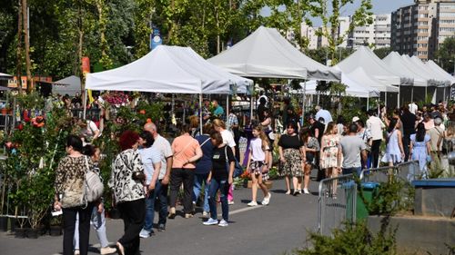 Comercianții se pot înscrie pentru Festivalul Florilor din sectorul 6/ Cererile se trimit până pe 16 martie/ Cei interesați pot comercializa produse alimentare, flori şi alte plante, produse cu flori sau naturiste