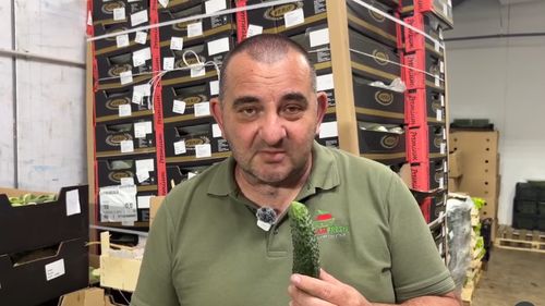 Cum alegi castraveții buni de pe tarabă și de ce se înmoaie la murat. Lucian Dragomir, legumicultor și promotor al producătorilor locali: „Când sunt drepți, înseamnă că au crescut corect”