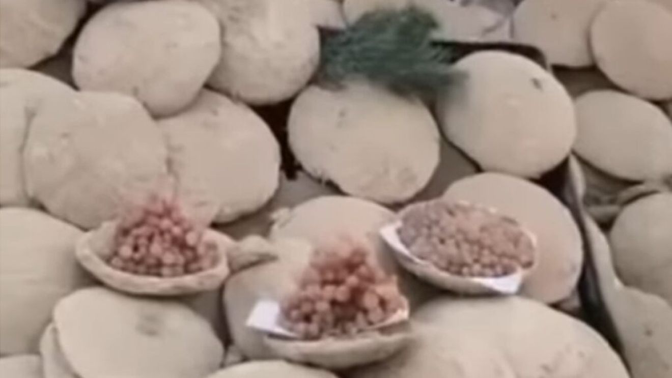 VIDEO | Cum se păstrează strugurii în vase de lut, o tradiție afgană cu valoare economică și culturală / Vasele sunt închise ermetic și trebuie sparte pentru a avea acces la fructele din interior