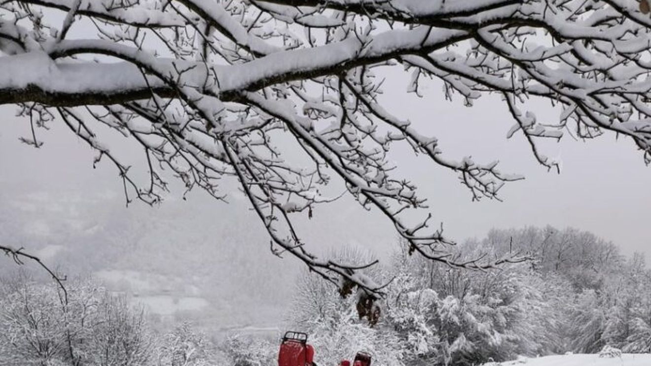 Maramureş: Cinci ucraineni care au trecut graniţa prin munţi, recuperaţi de salvamontişti. Ei se aflau de 11 zile pe drum şi au spus că au fugit de război / Salvamontist: „Mâncau şi se uitau la noi cu lacrimi în ochi”