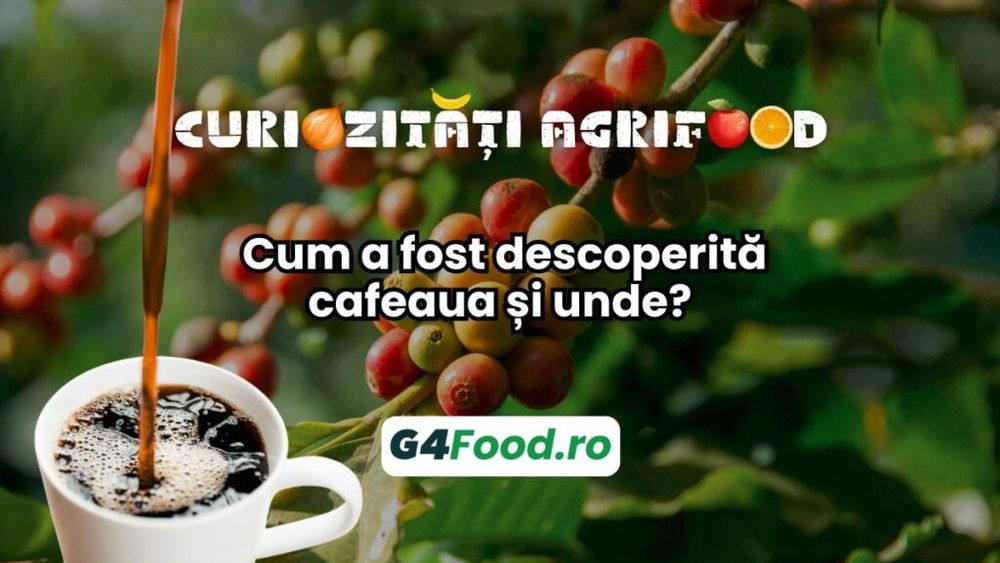 Curiorizăți agrifood – 24 octombrie: Cum a fost descoperită cafeaua și unde?