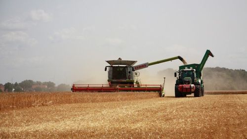 Ministrul Agriculturii, Florin Barbu crede că va fi un an agricol foarte bun: Suprafaţa afectată de secetă nu depăşeşte 200.000 hectare din 7 milioane ha însămânţate