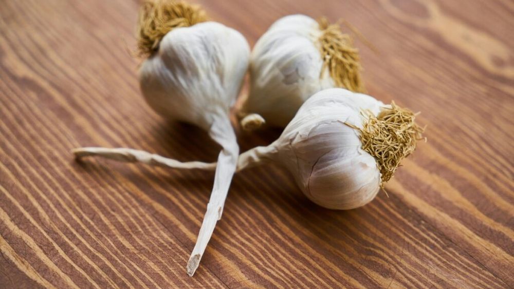 Ai folosi apă de gură cu… usturoi? / Oamenii de știință au descoperit că aceasta ar putea fi foarte eficientă / Care este explicația