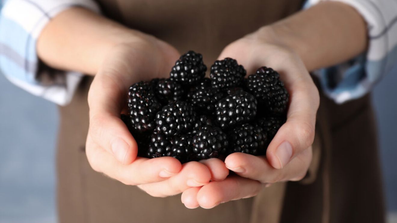 5 fructe cu conținut mai ridicat de proteine, care te ajută să slăbești / Jackfruit este o „mină de aur” nutritivă, iar altul e un „superstar” al rețelelor sociale