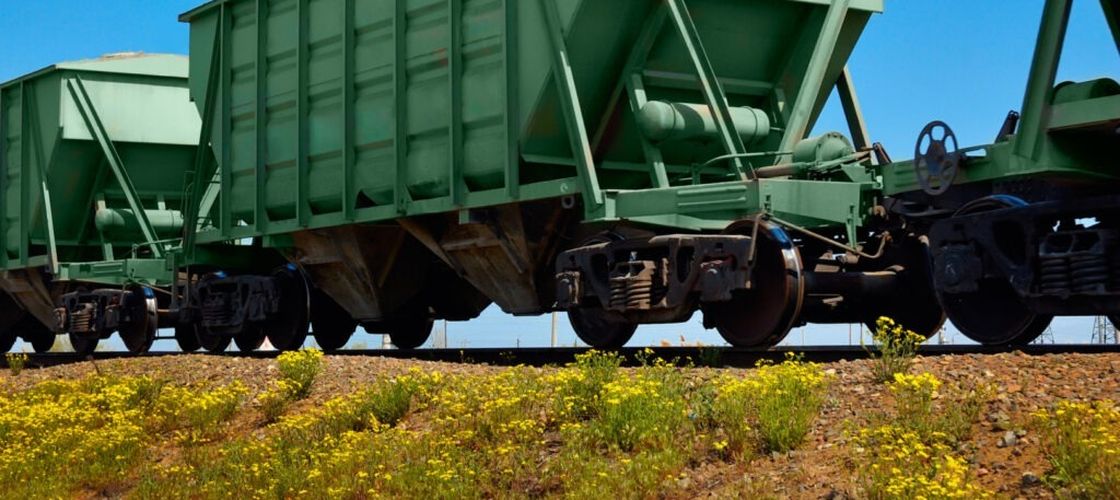 Interagroaliment, parte din Grup Șerban Holding, cere insolvența și renunță la comerțul cu cereale după pierderi semnificative