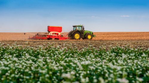 Analiză: În ciuda subvențiilor UE și a măsurilor de sprijin, sectorul agricol românesc continuă să fie dominat de ferme de subzistență și productivitate scăzută