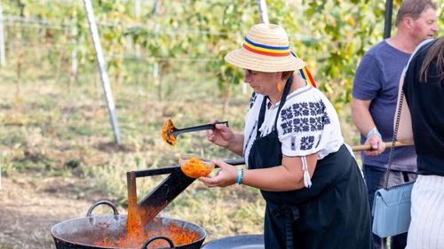 USAMV Cluj-Napoca organizează a patra ediție a Vinea Apoldia Maior Fest, la Apoldu de Sus / Oaspeții sunt așteptați cu bucate tradiționale și vinuri din podgoria proprie