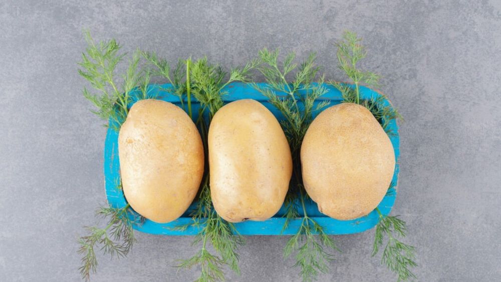 Ce cartofi aleg bucătarii profesioniști pentru a obține piureul perfect / Greșelile de depozitare care strică gustul cartofilor