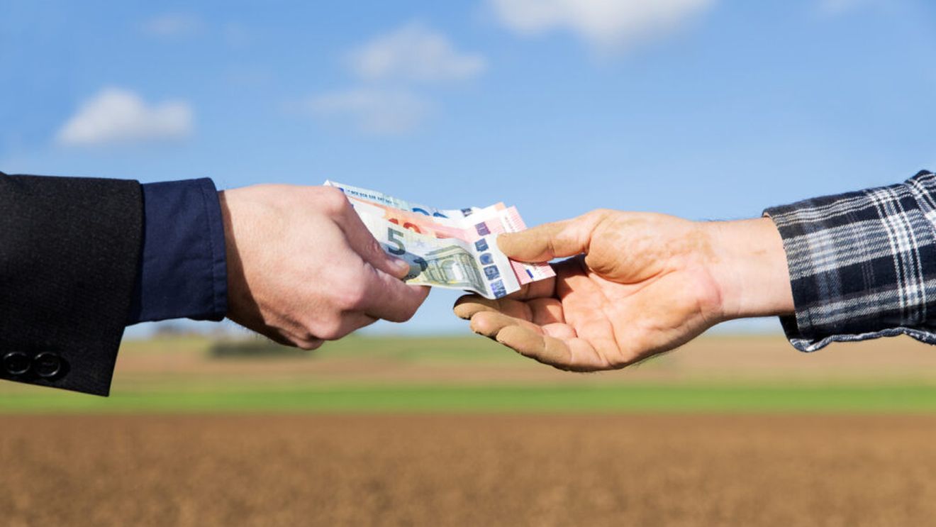 AFIR: Fermierii au depus 1.941 de cereri de finanţare în valoare 10,66 milioane de euro, pentru submăsura privind primele de asigurare a culturilor, a animalelor şi a plantelor, depăşind astfel alocarea financiară anunţată