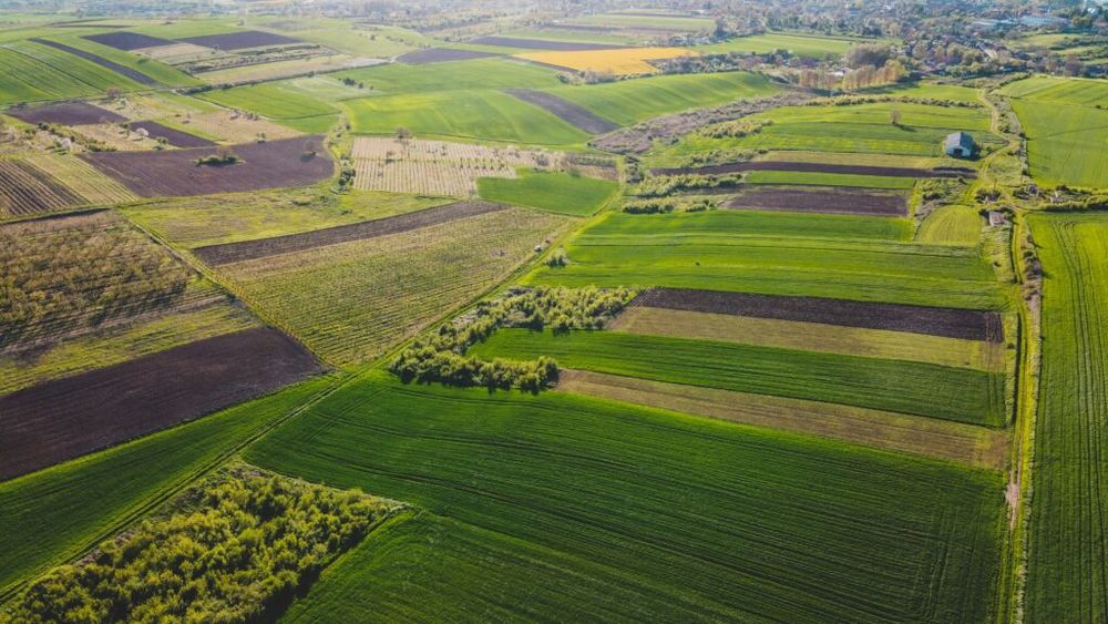 Cum va fi vremea/ Specialiștii recomandă accelerarea lucrărilor de semănat pentru culturile de primăvară