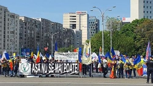 Silvicultorii protestează la Guvern, alături de feroviari, militari, mineri, poliţişti, siderurgişti, energeticieni şi alte categorii profesionale / Sunt nemulţumiţi de noua Lege a pensiilor