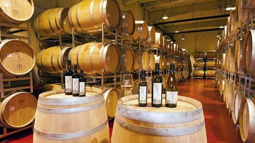 CEO LacertA Winery, Mircea Matei, respinge zvonul unei oferte de achiziție din partea Purcari / Totul ar fi pornit de la o confuzie: „Nu avem nicio discuție legată de vânzarea cramei LacertA”