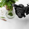 Parlamentul European se pregătește să aprobe noile plante editate genetic / Fermierii sunt împărțiți între speranță și îngrijorare: susținătorii invocă rezistența la secetă, criticii se tem de monopoluri
