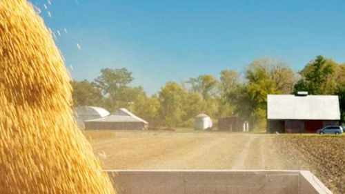 USDA a publicat ultima revizuire a previziunilor asupra recoltelor mondiale de porumb / Pentru România, veștile nu sunt chiar proaste