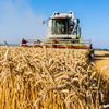 Prețurile produselor agricole au avut cea mai mare creștere trimestrială din 2022. De ce ar putea alimenta din nou inflația