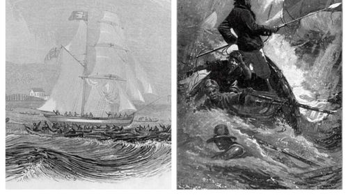 De la „Insula Comorii” a lui Robert Louis Stevenson la „Moby Dick” al lui Herman Melville, bucătarii apar frecvent în operele literare. În „Moby Dick”, bucătarul de pe nava lui Ahab pregătește mâncăruri din balenă / „Corabia își găsește refugiu în portul ei, iar echipajul, în bucătarul său”