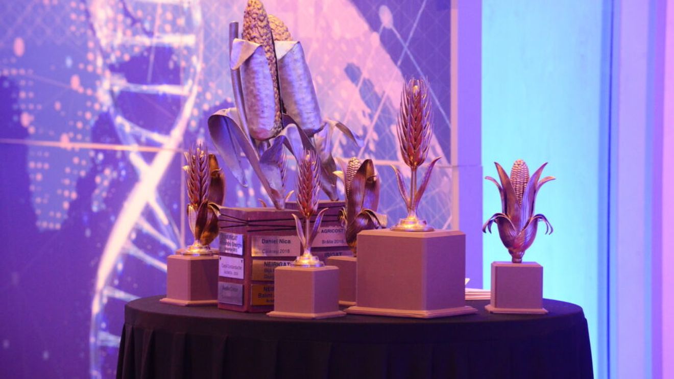 Într-un noian de promisiuni și temeri, fermierii au o singură certitudine: că trebuie să meargă înainte!