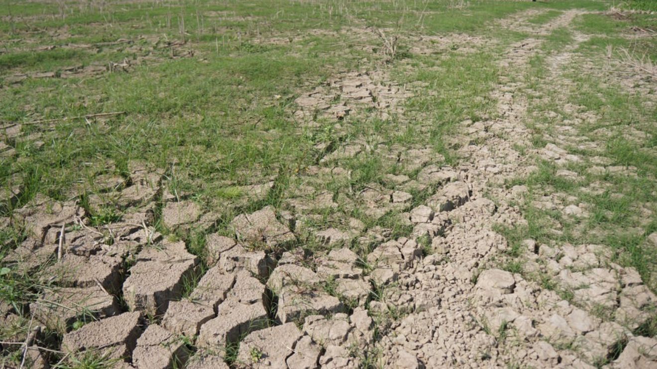 Cea mai gravă secetă din ultimele decenii afectează nordul Europei / Autoritățile impun restricții la apă