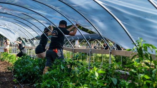 Facilităţile pentru angajaţii din agricultură și industria alimentară eliminate/ Proiectul de Ordonanţă privind unele măsuri fiscal-bugetare, publicat duminică de Ministerul Finanţelor, vine cu vești proaste