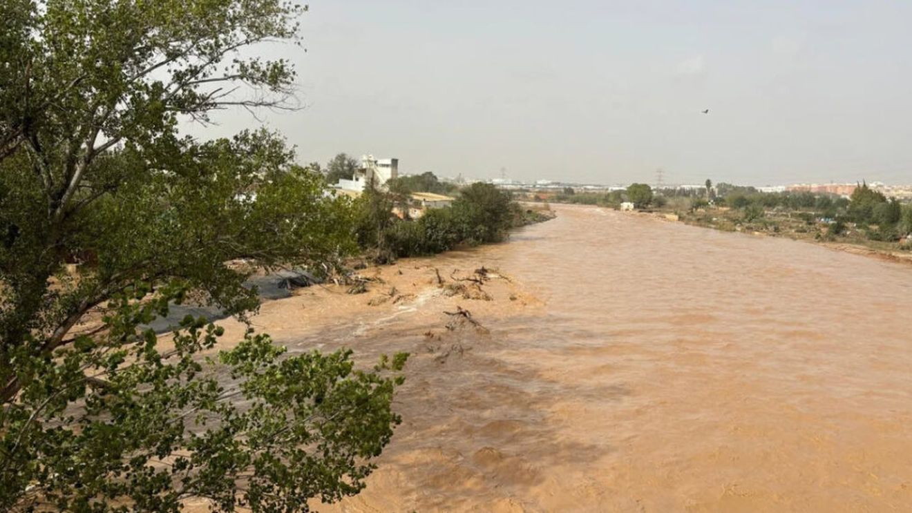 Agricultorii spanioli o reclamă la Comisia Europeană pe Teresa Ribera, candidată din partea Spaniei pentru postul de vicepreședinte executiv al Tranziției Curate, Juste și Competitive și comisar european pentru Concurență/ Modul în care aceasta a acționat în timpul furtunii care a afectat Spania a nemulțumit persoanele afectate