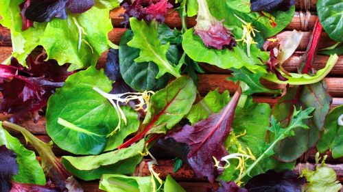 Ce se întâmplă cu corpul tău când mănânci în mod regulat mix de verdețuri/Acest aliment poate aduce un bust pentru sănătate